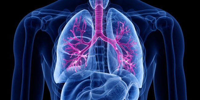 什么是慢性阻塞性肺病 (Chronic Obstructive Pulmonary Disease)，為何與新冠疫情有關(guān)？